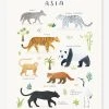Affiche Animaux D'Asie Living Earth LILIPINSO Gris - Lilipinso -Vertbaudet Boutique affiche animaux dasie living earth lilipinso