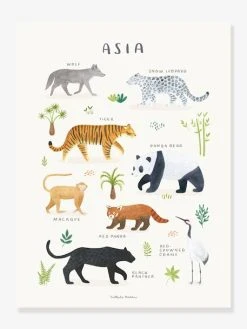 Affiche Animaux D'Asie Living Earth LILIPINSO Gris - Lilipinso