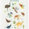 Affiche Animaux D'Océanie Living Earth LILIPINSO Marron - Lilipinso 2 Affiche Animaux D'Océanie Living Earth LILIPINSO Marron - Lilipinso -Vertbaudet Boutique affiche animaux doceanie living earth lilipinso