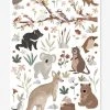 Stickers Animaux D'Australie Lilydale LILIPINSO Gris - Lilipinso -Vertbaudet Boutique stickers animaux daustralie lilydale lilipinso
